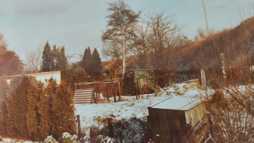 Winter 1986 met het hok in aanbouw